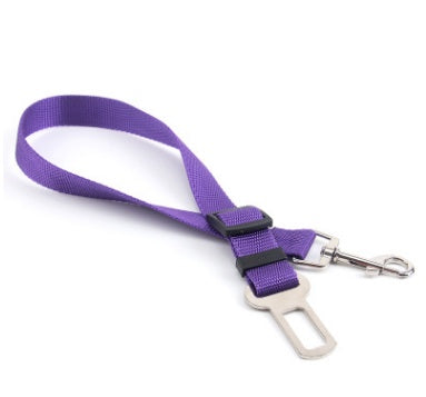 Durable Polyester Dog Leash Strong Adjustable Pet Leash for Walking & Training