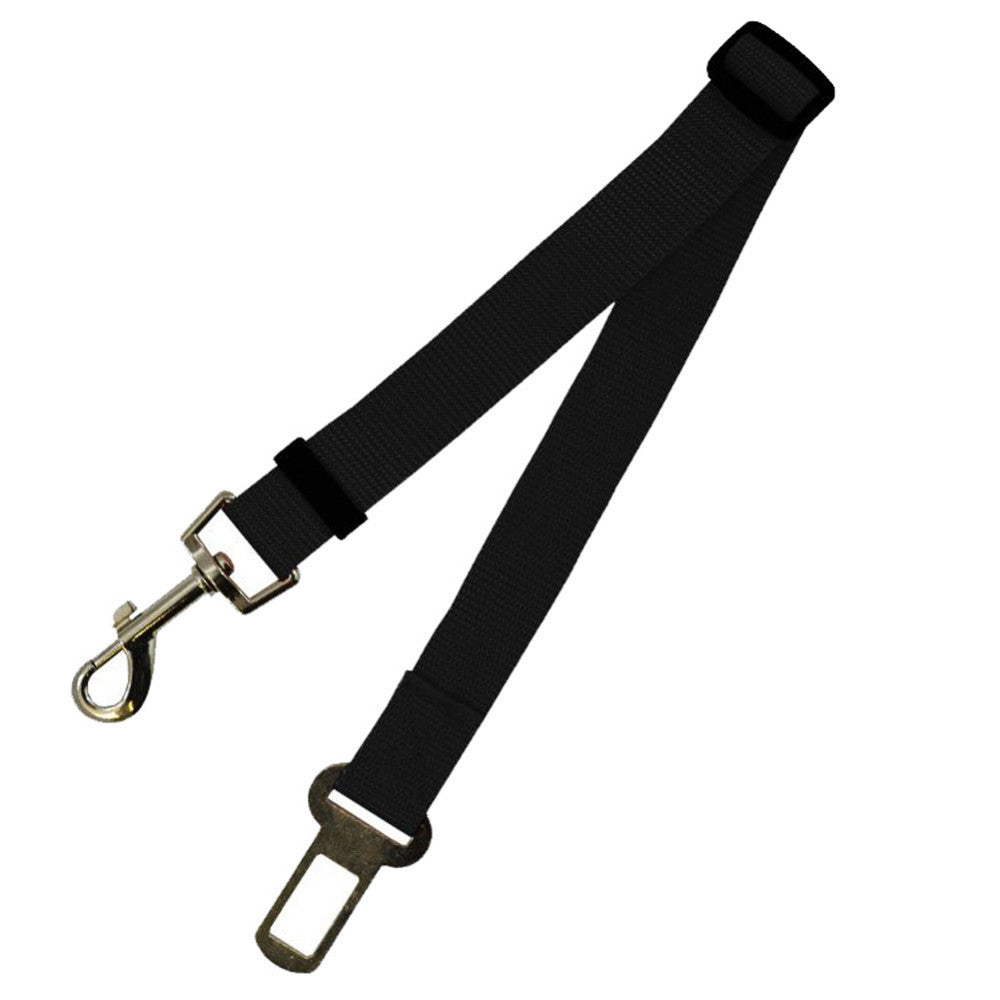 Durable Polyester Dog Leash Strong Adjustable Pet Leash for Walking & Training