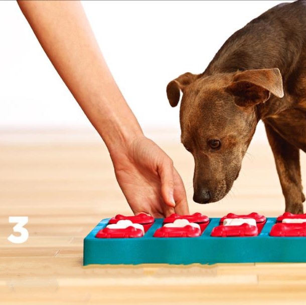 Pet Treat Dispensing Box Toy | Interactive Moving Leaky Food Toy