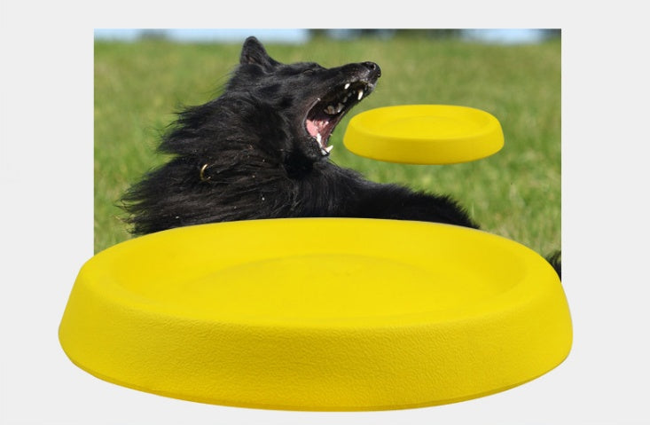 Dog Throwing Toy EVA Lightweight Fetch Training Pet Toy