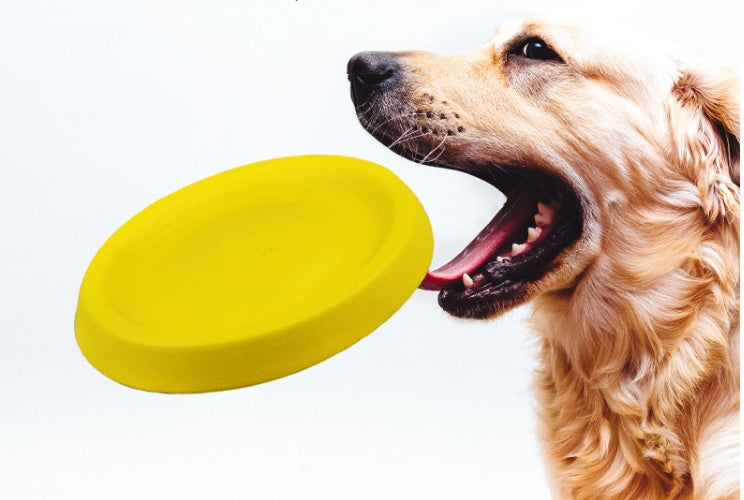 Dog Throwing Toy EVA Lightweight Fetch Training Pet Toy