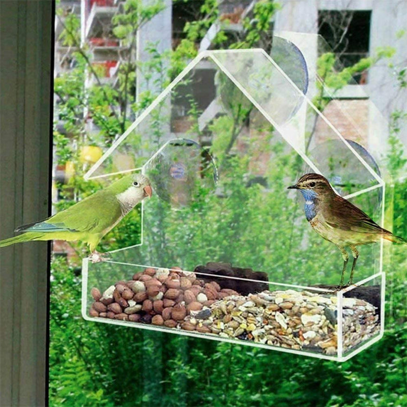 Acrylic Bird Food Bowl With Suction Cup Outdoor Room Type Bird Feeder