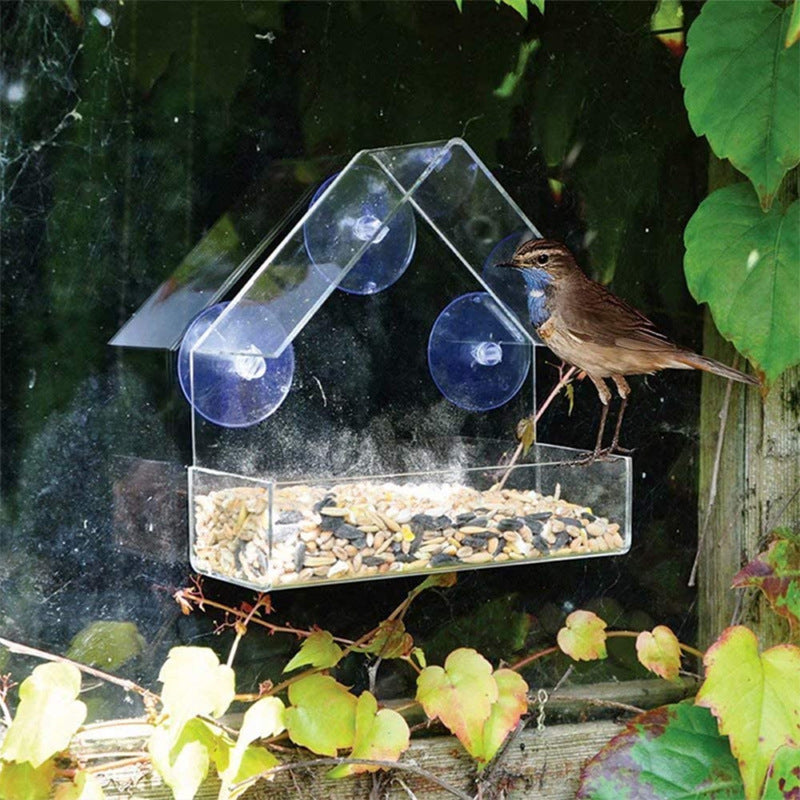 Acrylic Bird Food Bowl With Suction Cup Outdoor Room Type Bird Feeder