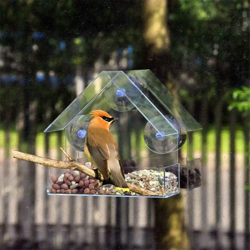 Acrylic Bird Food Bowl With Suction Cup Outdoor Room Type Bird Feeder