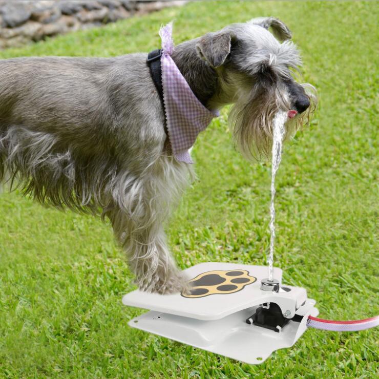 Dog Pedal Water Fountain Outdoor Pet Step Drinking Dispenser