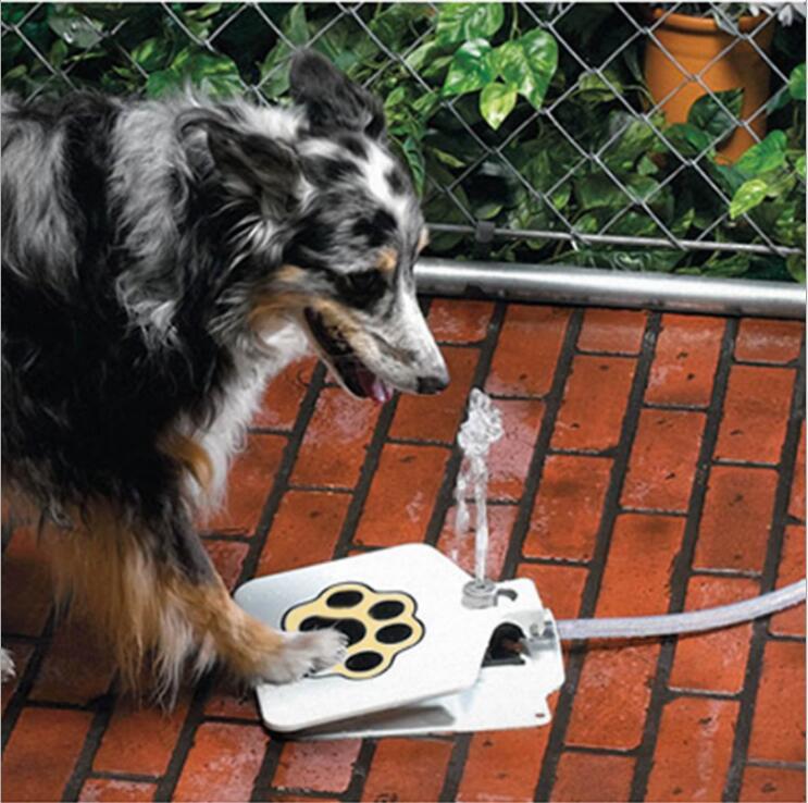Dog Pedal Water Fountain Outdoor Pet Step Drinking Dispenser