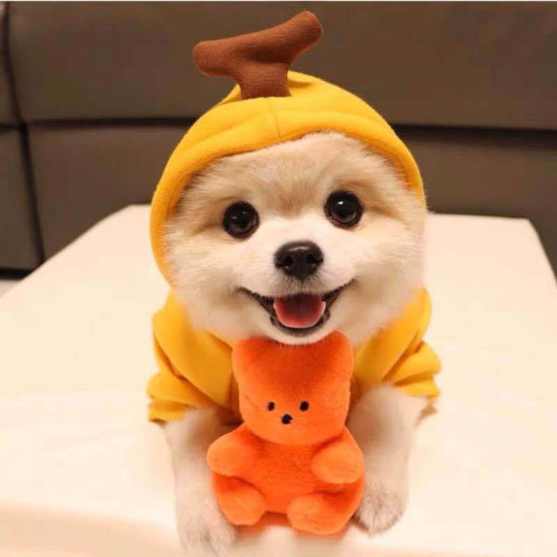 Cute Dog Hoodie Fruit Pet Clothes Winter Fleece Outfit