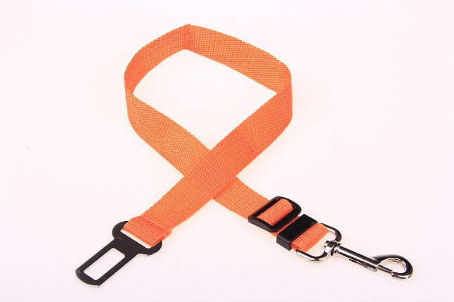 Durable Polyester Dog Leash Strong Adjustable Pet Leash for Walking & Training