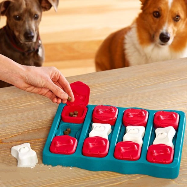 Pet Treat Dispensing Box Toy | Interactive Moving Leaky Food Toy