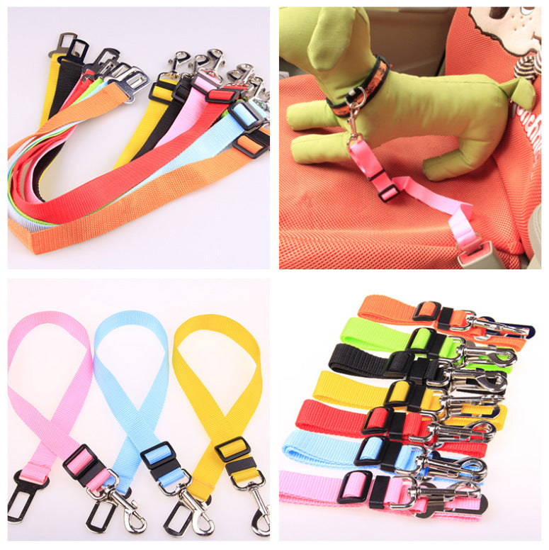Durable Polyester Dog Leash Strong Adjustable Pet Leash for Walking & Training