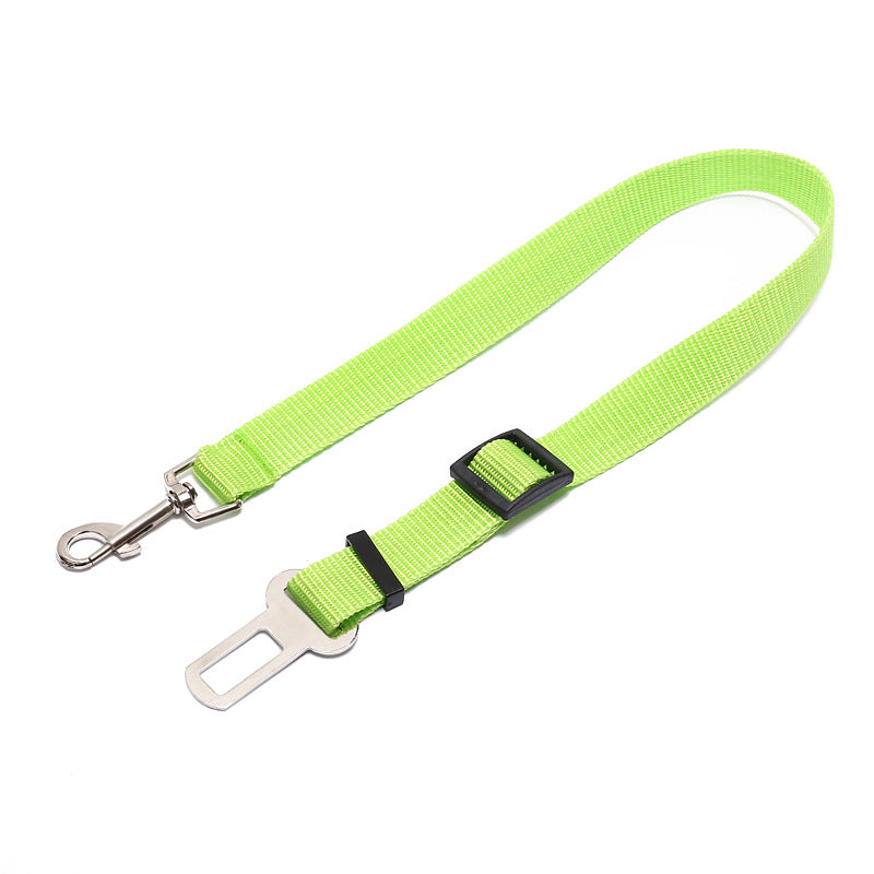Durable Polyester Dog Leash Strong Adjustable Pet Leash for Walking & Training