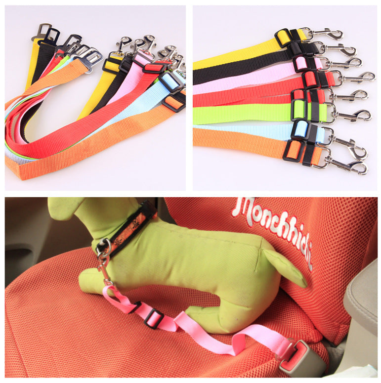 Durable Polyester Dog Leash Strong Adjustable Pet Leash for Walking & Training