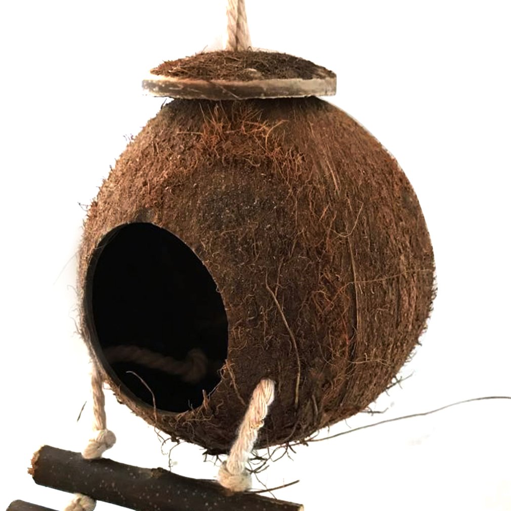 Natural Coconut Shell Bird Nest with Ladder | Hanging House for Parakeet, Budgie & Lovebird