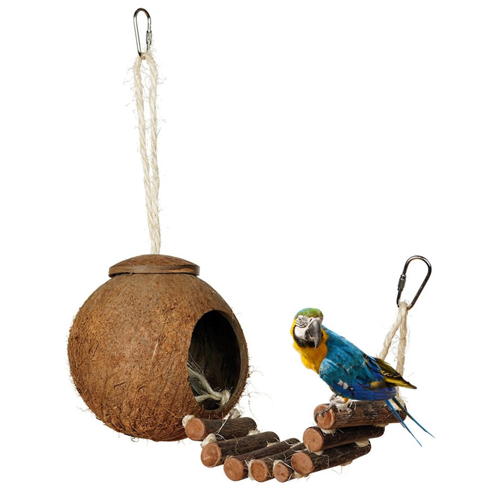 Natural Coconut Shell Bird Nest with Ladder | Hanging House for Parakeet, Budgie & Lovebird