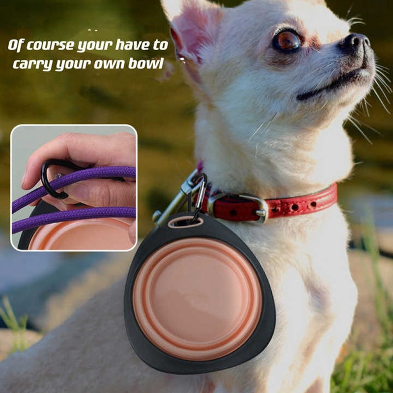 Collapsible Dog Bowl | Portable Foldable Travel Pet Food & Water Bowl for Dogs & Cats