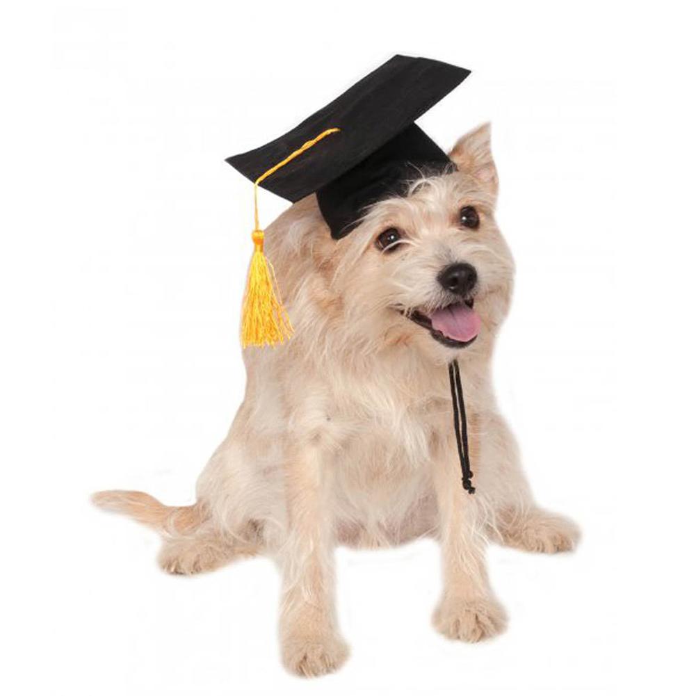 Dog Graduation Cap with Yellow Tassel | Pet Graduation Hat for Dogs
