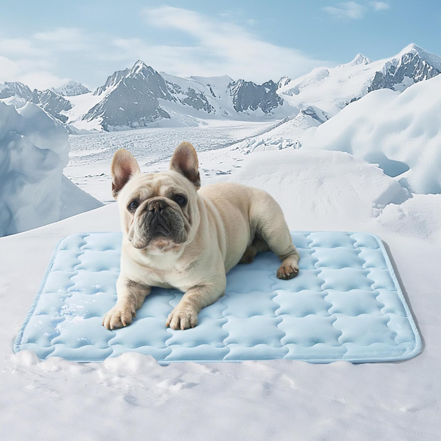 Machine-Washable Cooling Pet Ice Mat | Summer Dog Bed