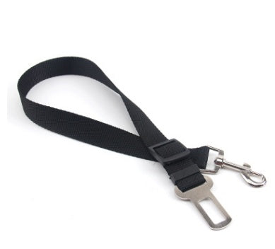 Durable Polyester Dog Leash Strong Adjustable Pet Leash for Walking & Training
