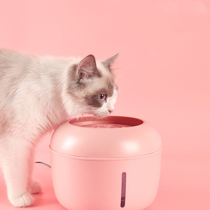 Smart Pet Water Fountain | Automatic Filtered Drinking Device for Cats & Dogs — 2.5L