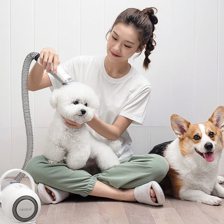 2 in 1 Pet Grooming Clipper Comb Dog Cat Hair Trimmer Shaver Tool