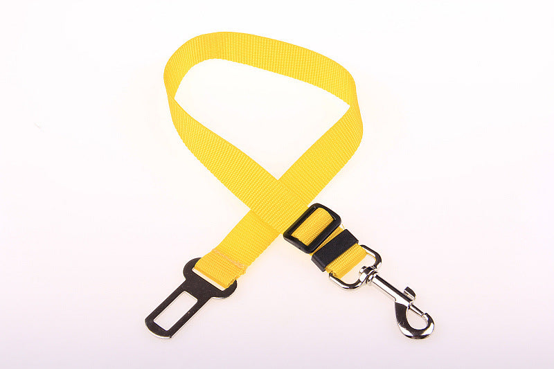 Durable Polyester Dog Leash Strong Adjustable Pet Leash for Walking & Training
