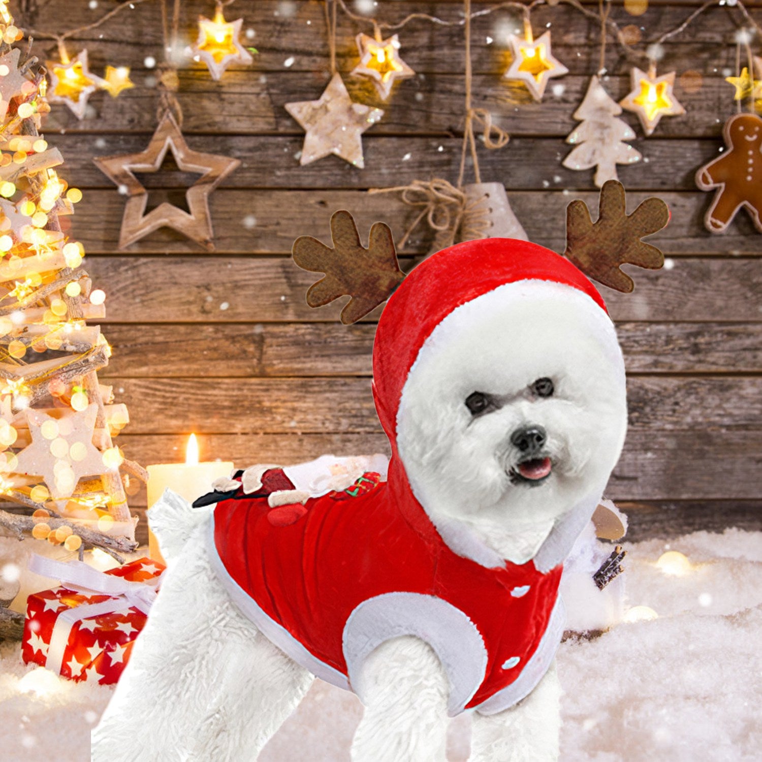 Pet Christmas Clothes Santa Dog Costume Winter Outfit