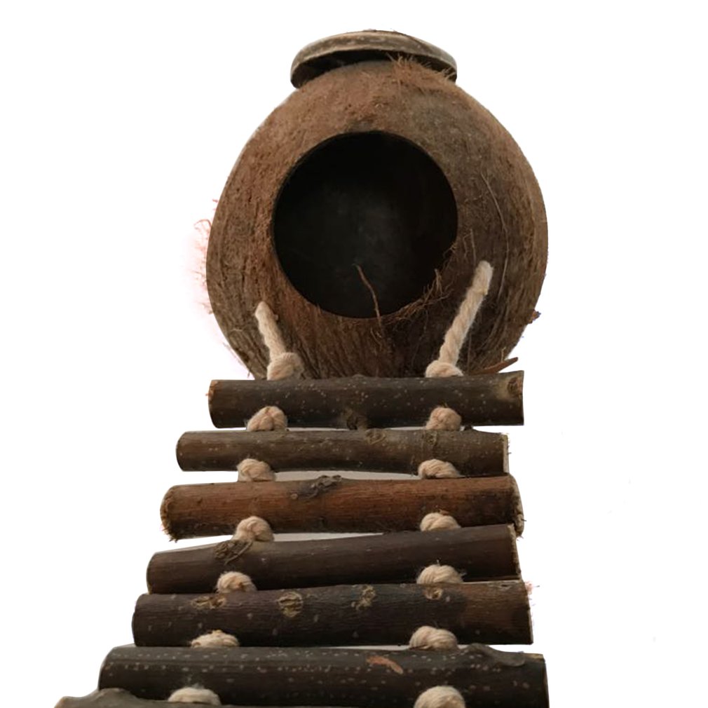 Natural Coconut Shell Bird Nest with Ladder | Hanging House for Parakeet, Budgie & Lovebird
