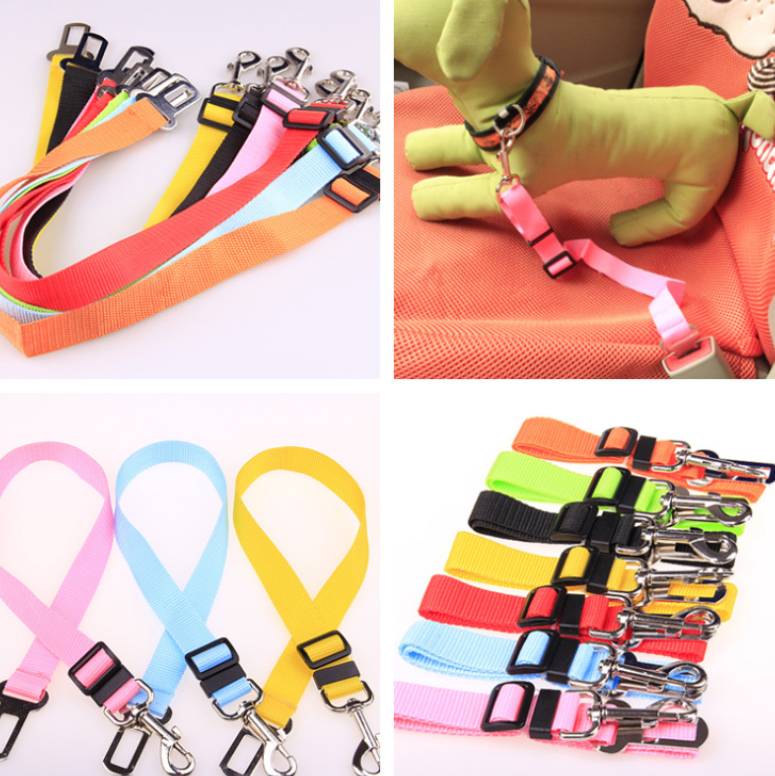 Durable Polyester Dog Leash Strong Adjustable Pet Leash for Walking & Training