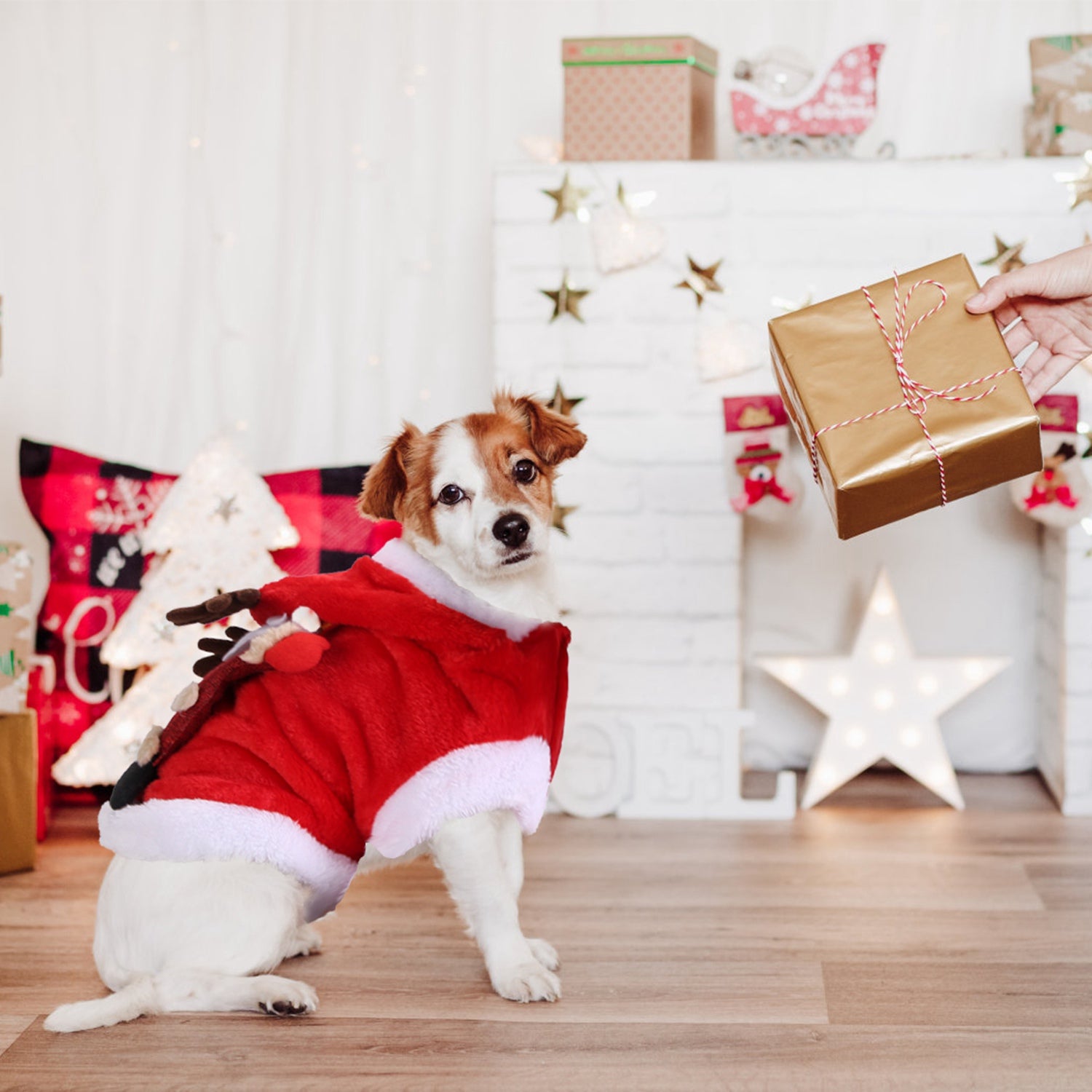 Pet Christmas Clothes Santa Dog Costume Winter Outfit