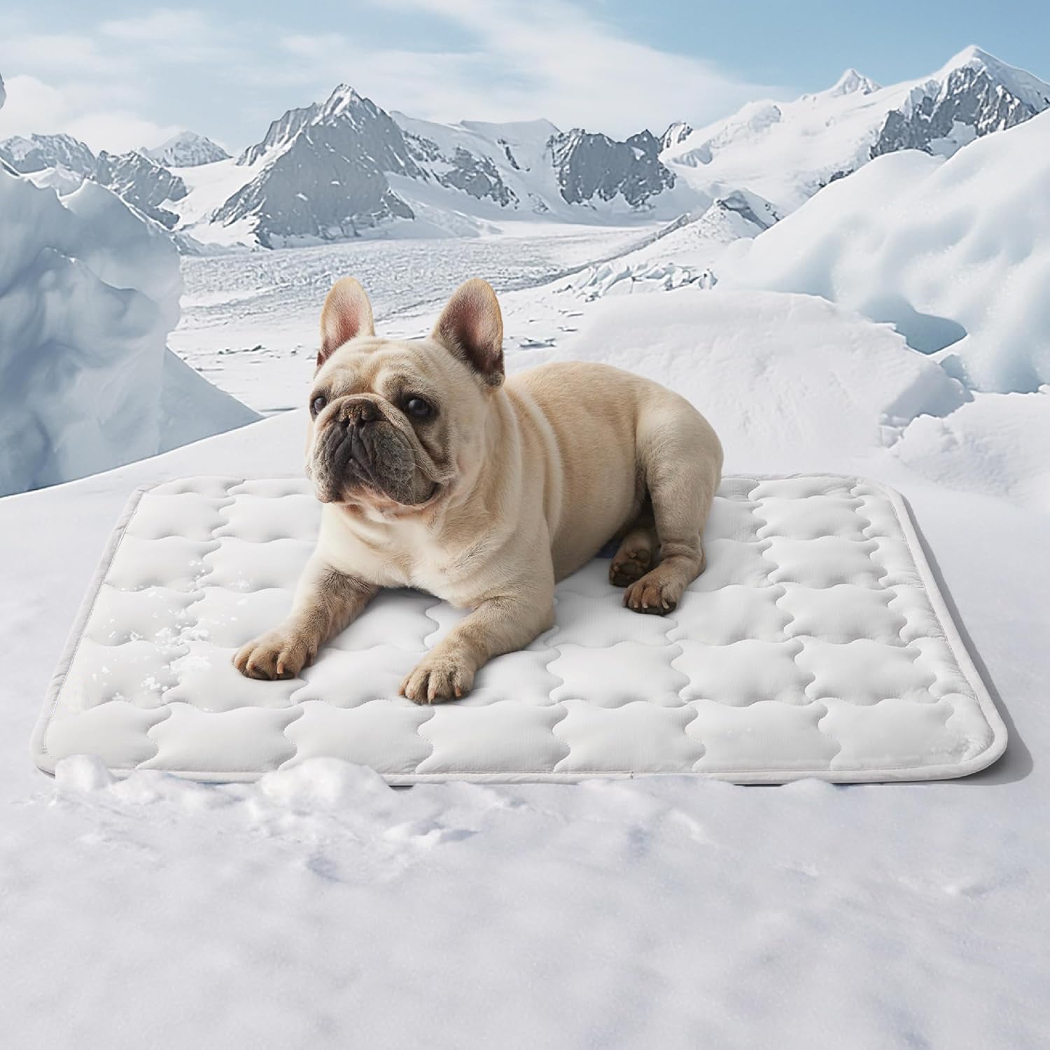 Machine-Washable Cooling Pet Ice Mat | Summer Dog Bed