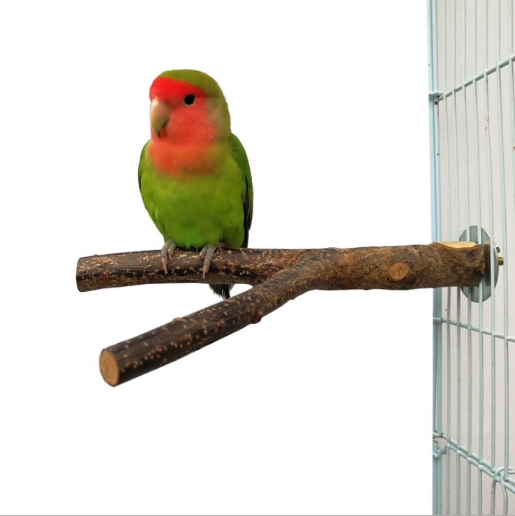 Bird Standing Frame Rattan Ring Chewing Toy for Bird Cage