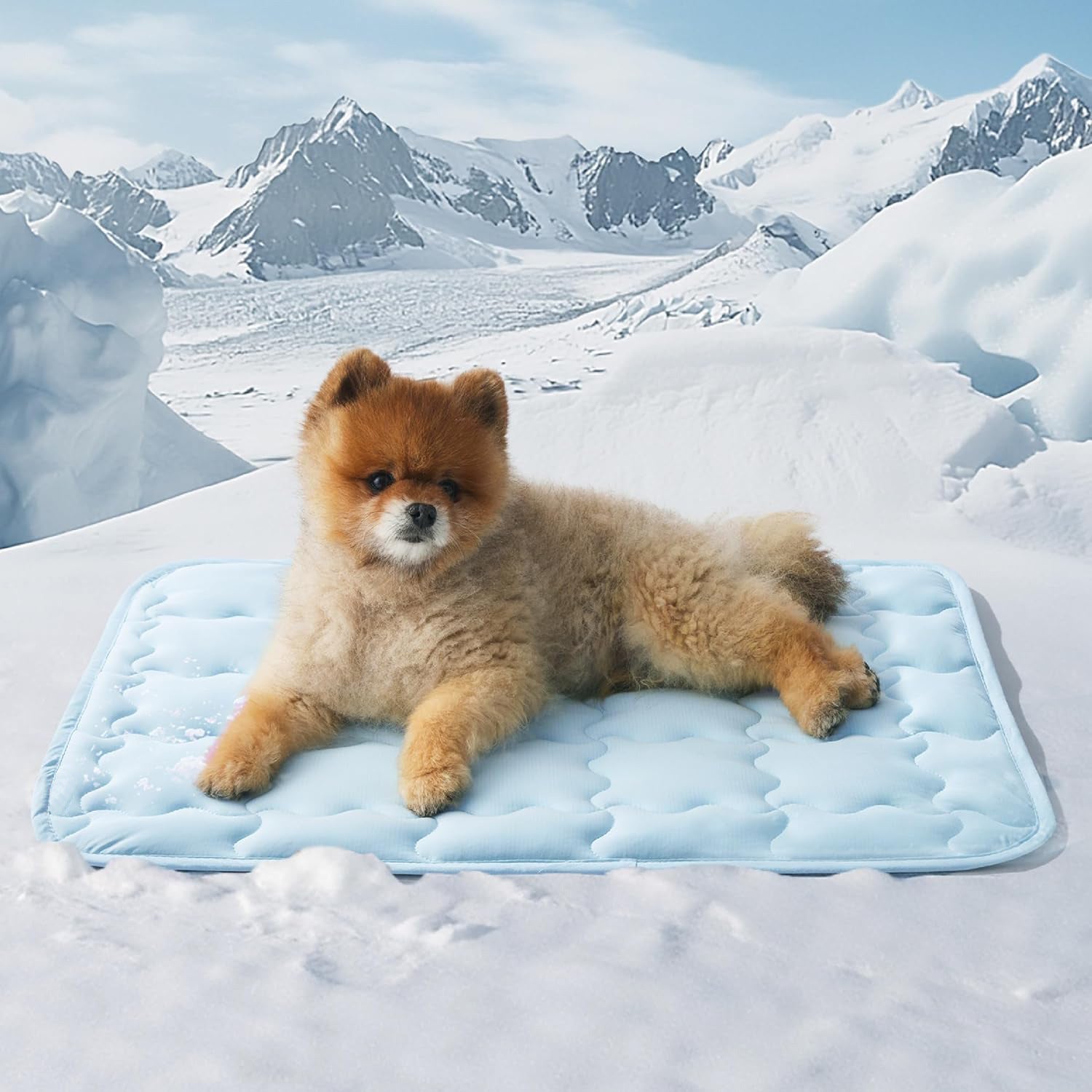 Machine-Washable Cooling Pet Ice Mat | Summer Dog Bed