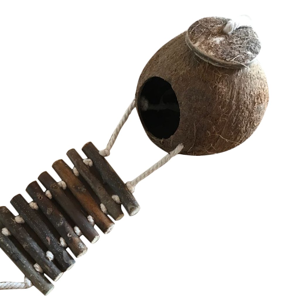 Natural Coconut Shell Bird Nest with Ladder | Hanging House for Parakeet, Budgie & Lovebird